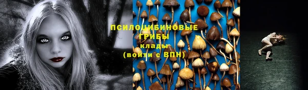 MDMA Premium VHQ Бронницы