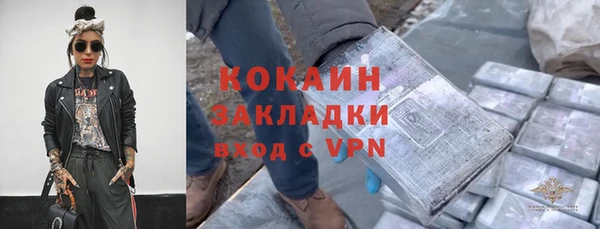 дурь Бородино