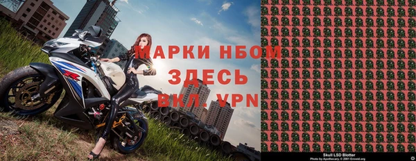 индика Верея