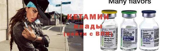 дурь Бородино