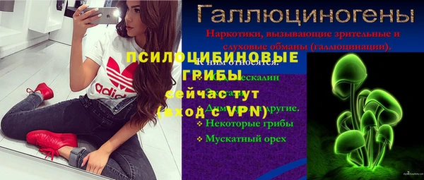 дурь Бородино