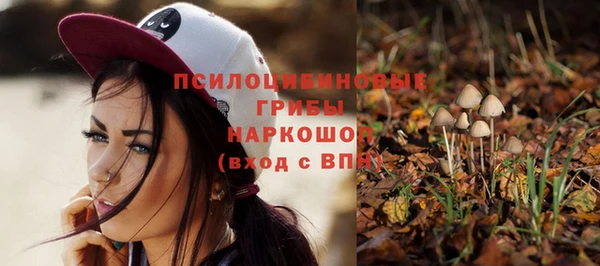 MDMA Premium VHQ Бронницы