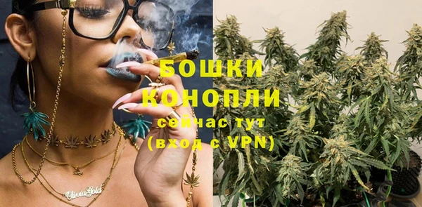 дурь Бородино