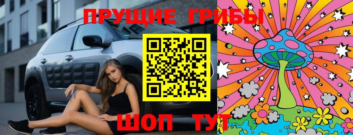 Псилоцибиновые грибы Psilocybe  Вход с VPN  Буйнакск 