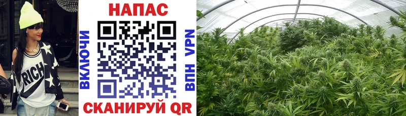 Каннабис LSD WEED  Буйнакск 